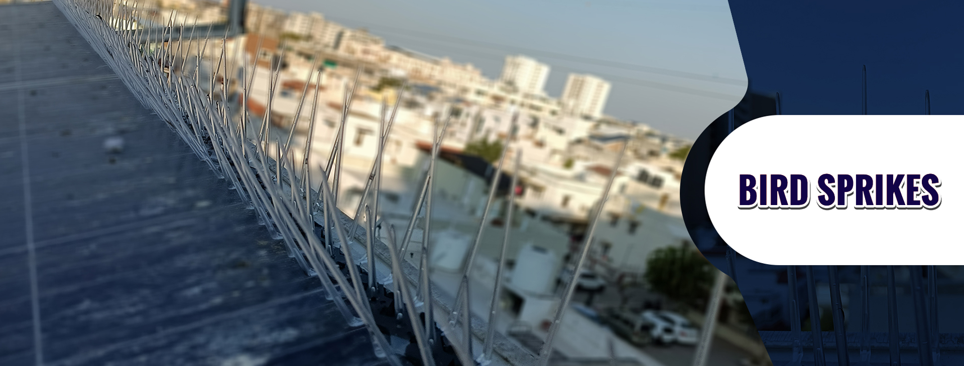 Anti Bird Net In Ahmedabad