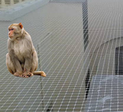 Monkey Net Manufacturer in Ahmedabad